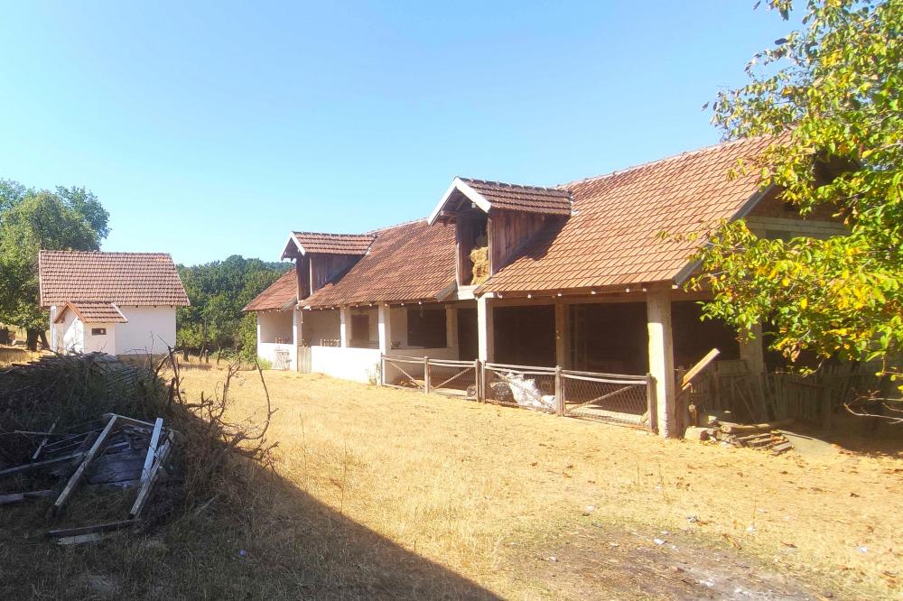 Arandjelovac, imanje - 570m2, 4.6ha ID#1791